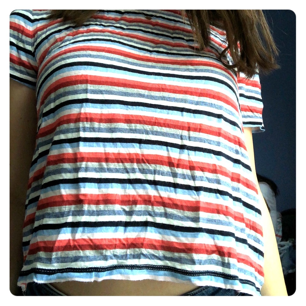 prince and fox soft cropped t-shirt
